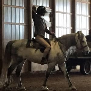 Meet your Posher, Sam